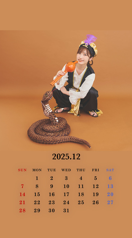 CALENDAR 2025.12 Smartphone